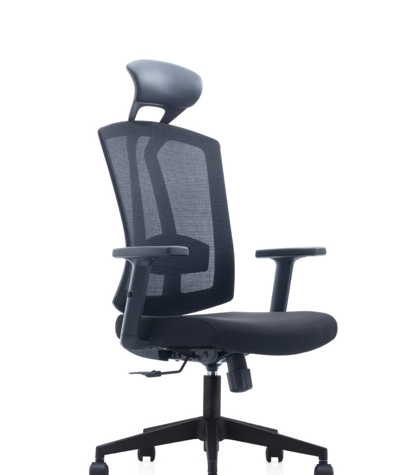 Ergonomic Chair Eg