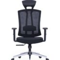 Ergonomic Chair,