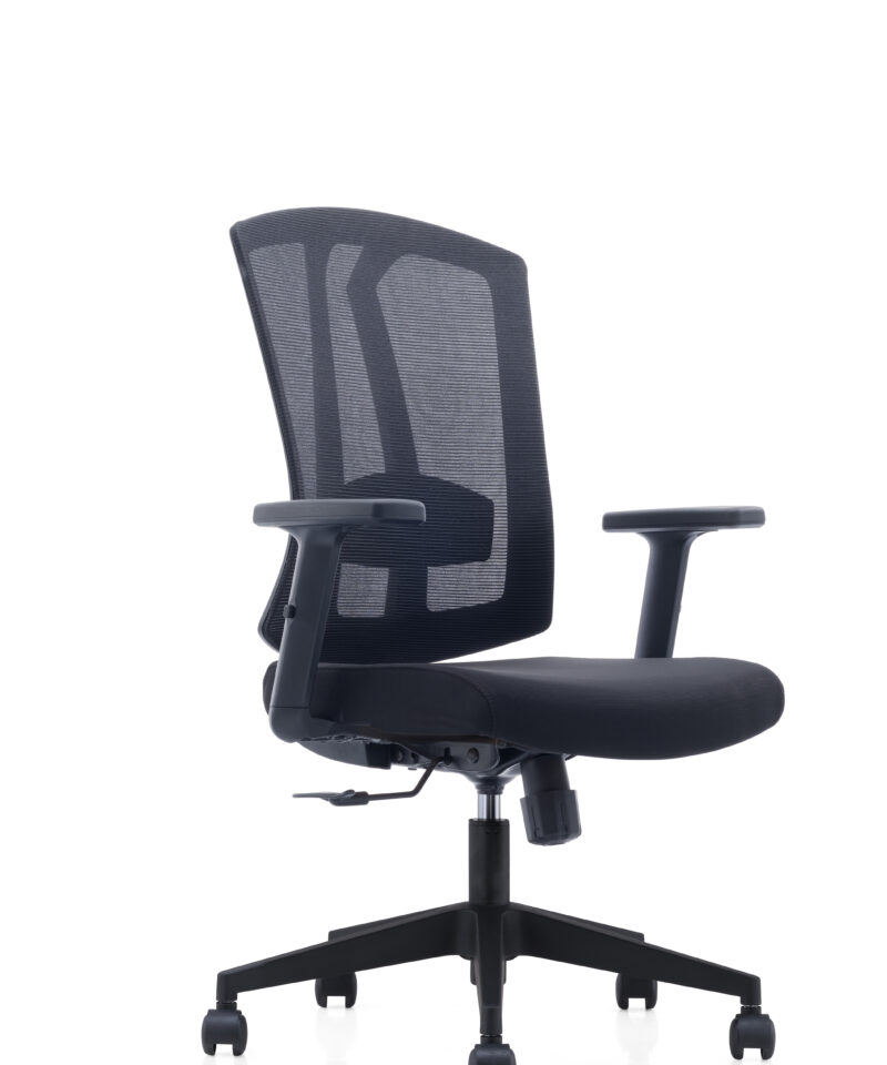 Ergonomic Chair Sophia