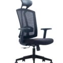 Ergonomic Chair