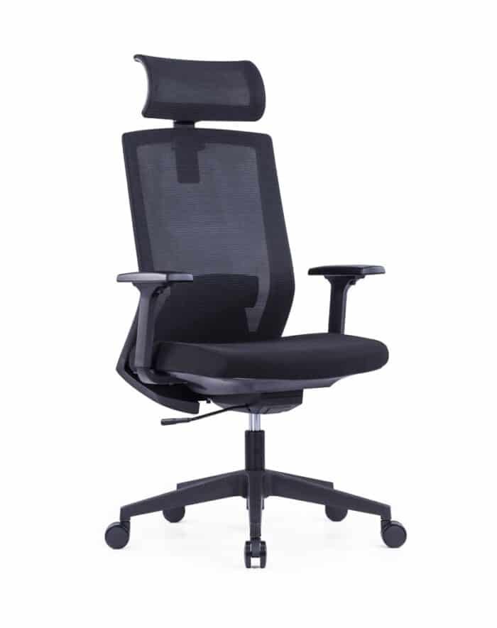 Triumph Executive Office Chair 01 1 https://officeinn.ae