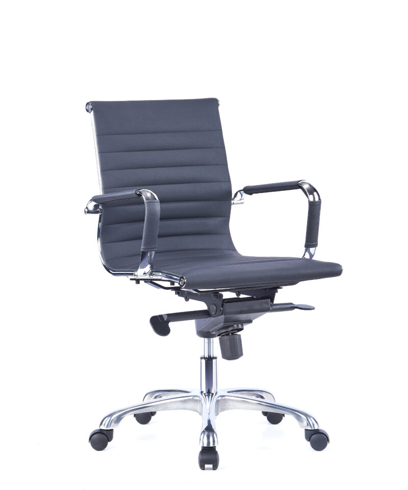 Meeting Chair Emily