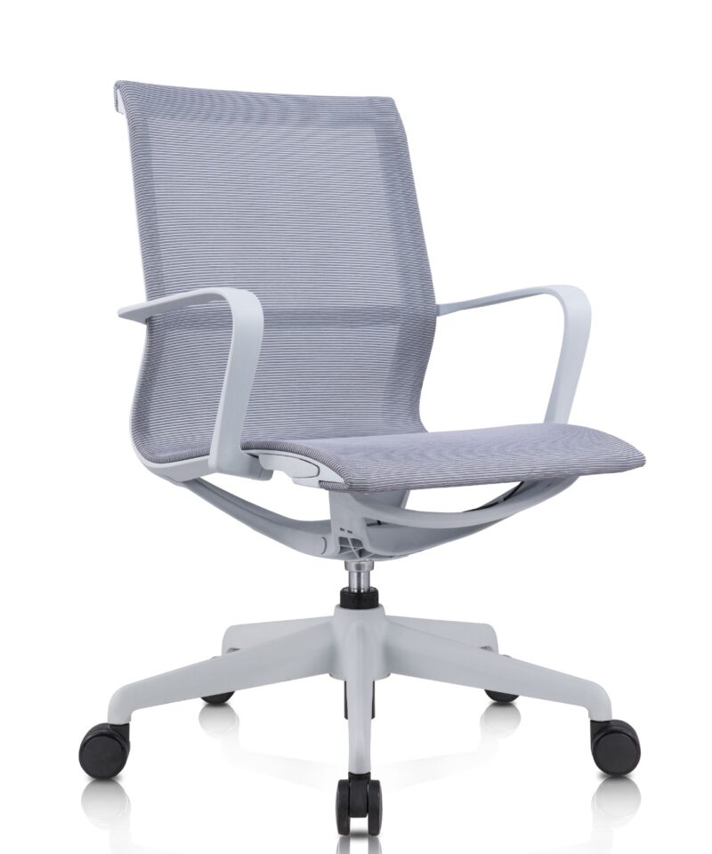 Meeting Chair Mia