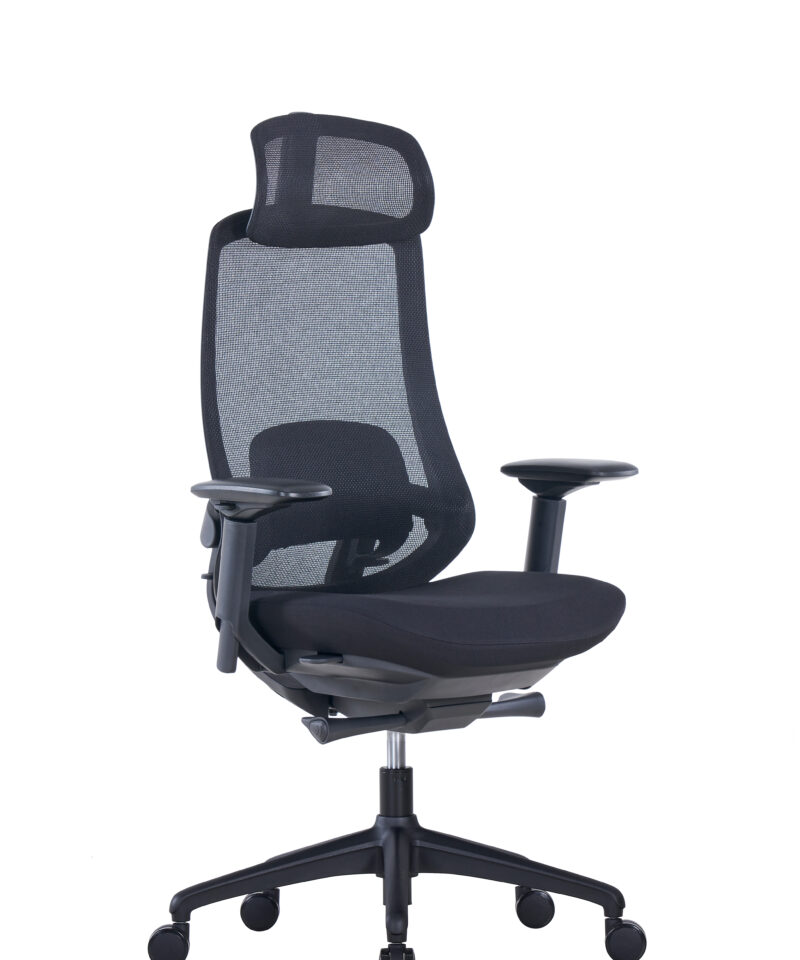 Executive Chair Black Frame Full Mesh