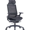 Ergonomic Chair