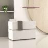 Stylish Reception desk