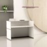 Mini Reception desk
