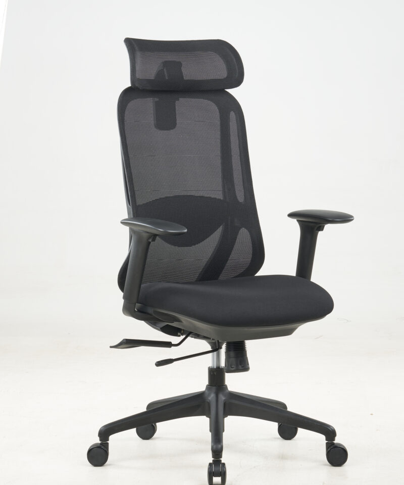 Executive Chair Mesh Back