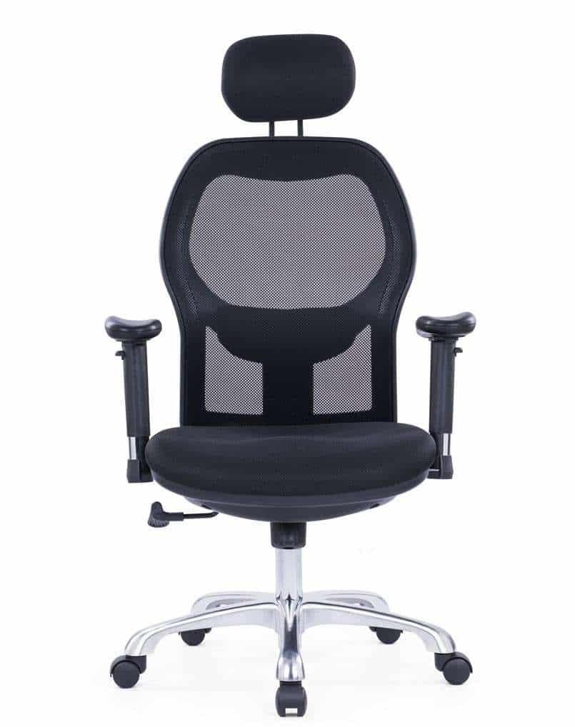 Ergonomic Chair, executive chair good for your back